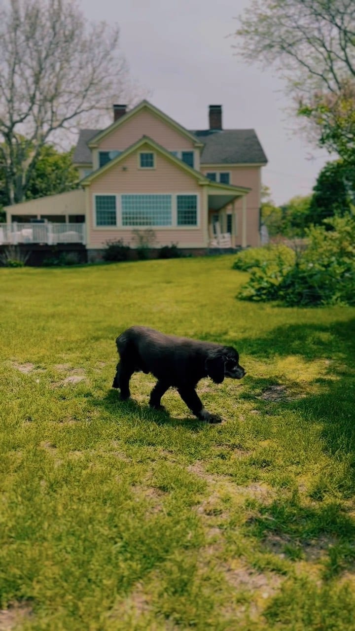 Post 5 by Laura Christine on Instagram (video)