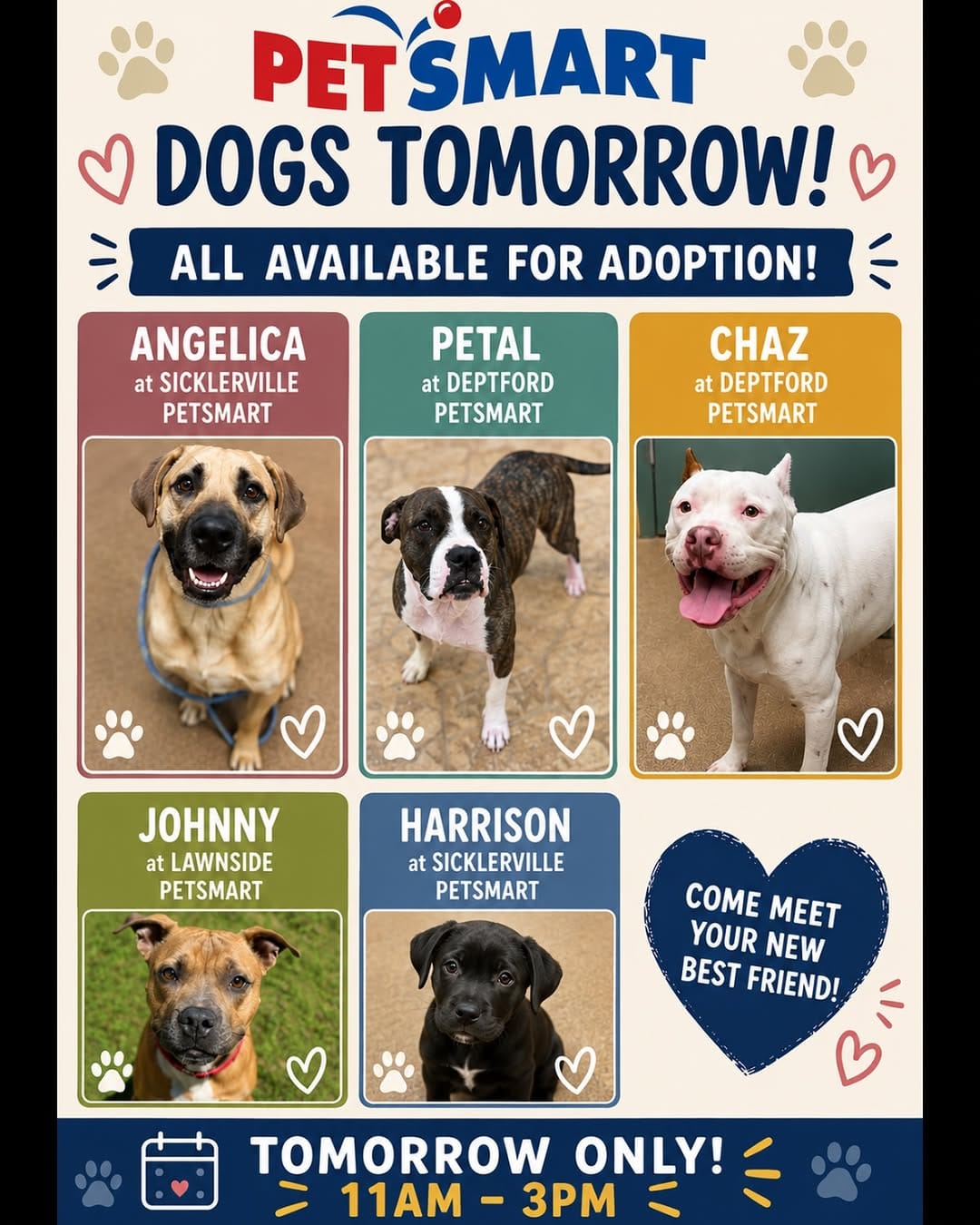 Post 3 by Homeward Bound Pet Adoption on Instagram (image)