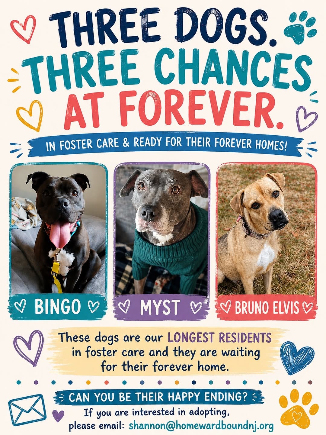 Post 5 by Homeward Bound Pet Adoption on Instagram (image)