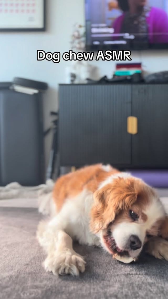 Post 3 by Danny Barton on Instagram (video)