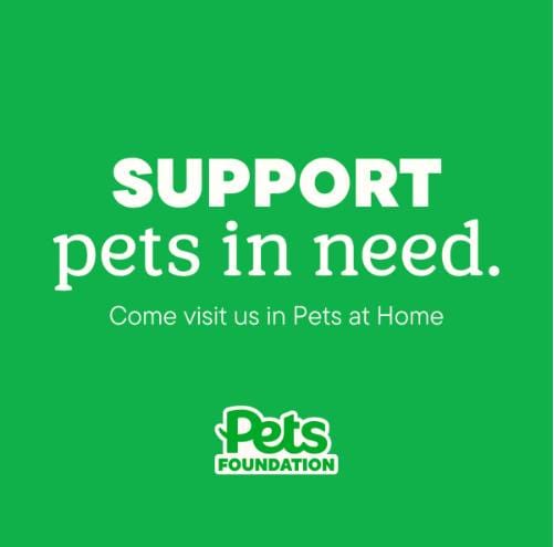 Post 2 by Greenacres Rescue on Instagram (image)