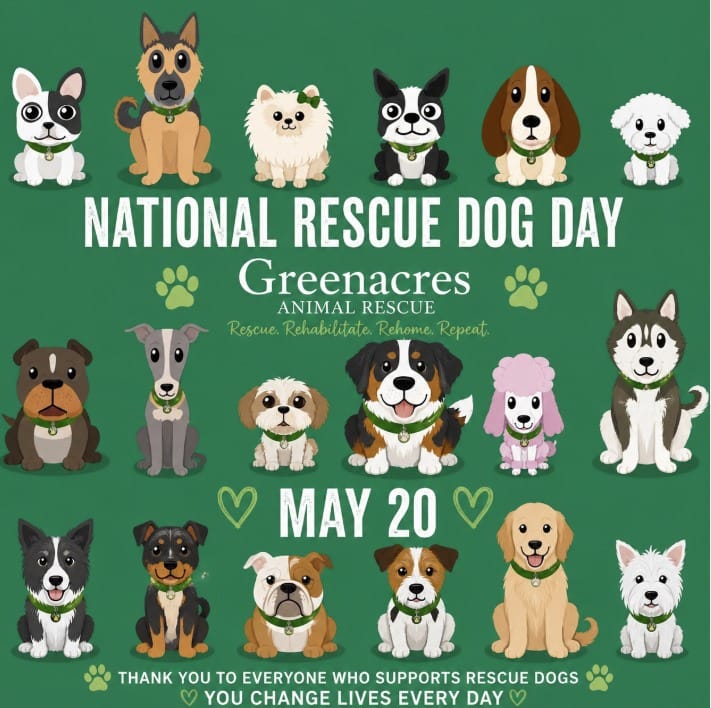 Post 7 by Greenacres Rescue on Instagram (image)