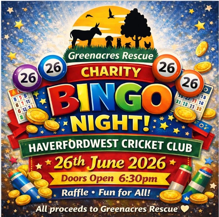 Post 10 by Greenacres Rescue on Instagram (image)