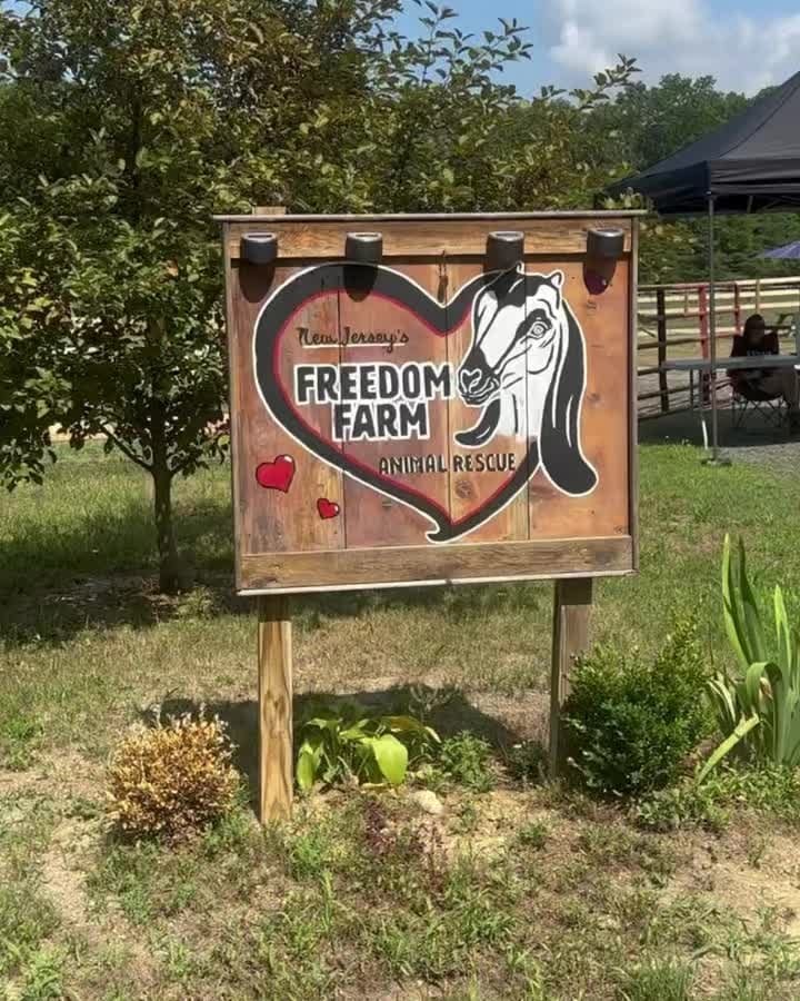 Post 10 by Freedom Farm Animal Rescue on Instagram (video)