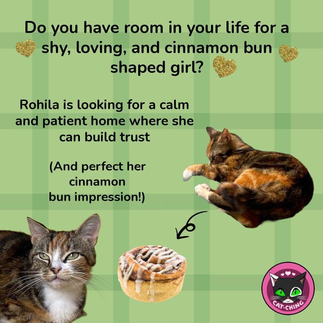 Post 5 by Cat-CHING Sheffield on Instagram (image)