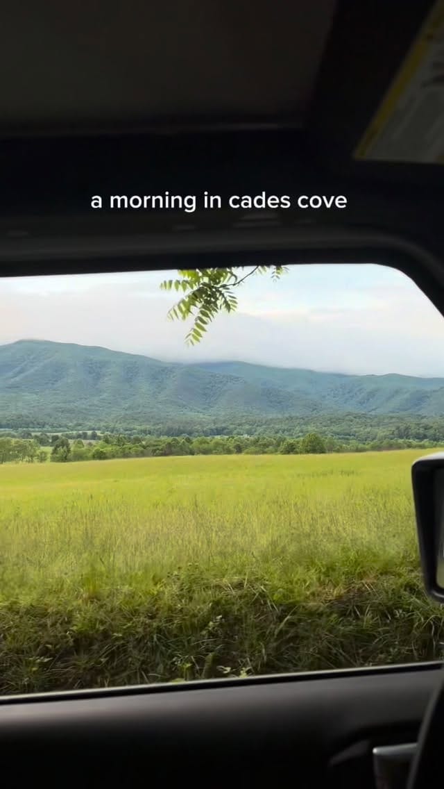 Post 1 by Makenzie Cann on Instagram (video)