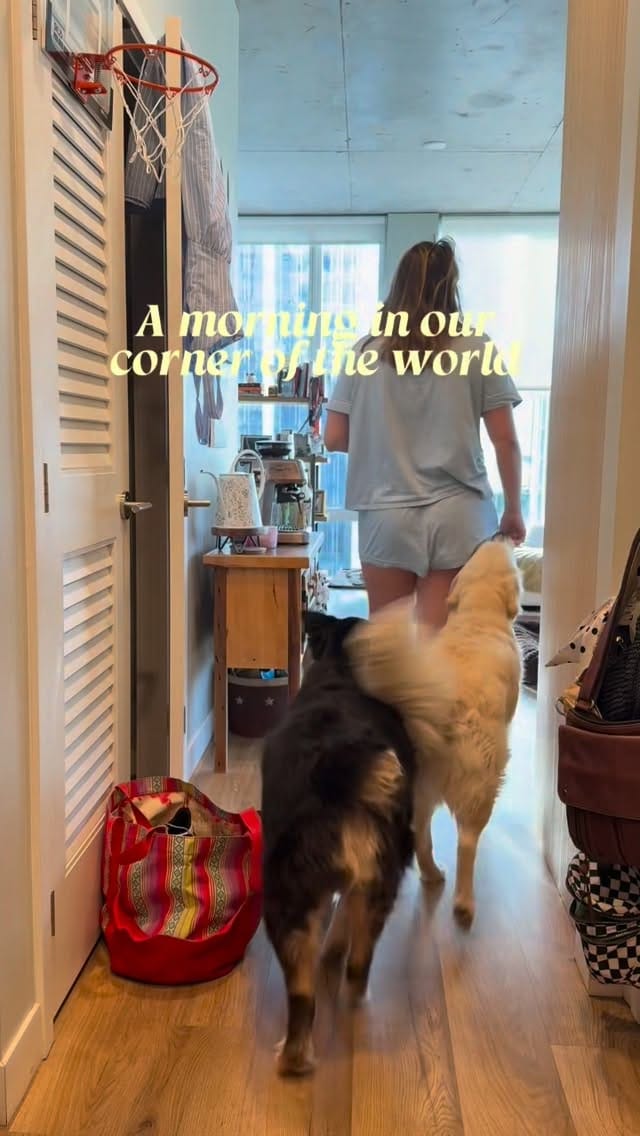 Post 7 by Makenzie Cann on Instagram (video)