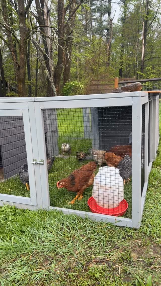 Post 7 by Rosco Anderson-Hardie on Instagram (video)