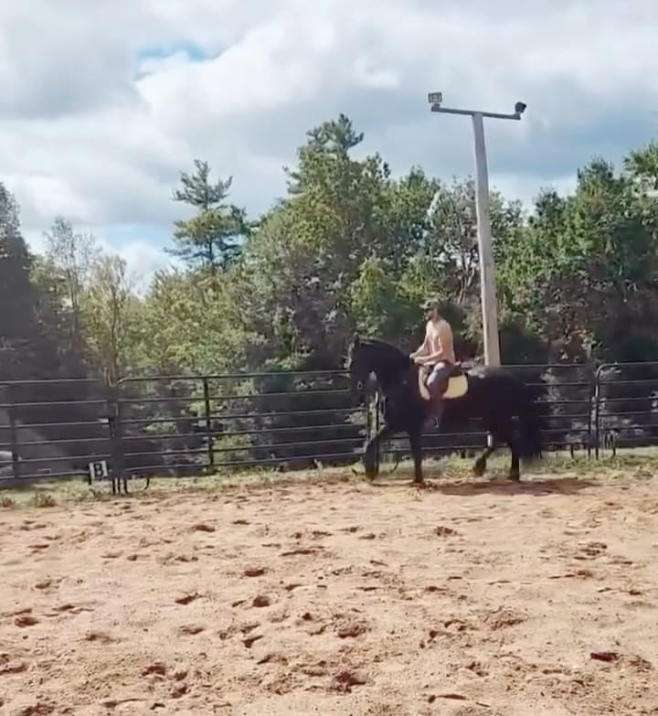 Post 2 by Rosco Anderson-Hardie on Instagram (video)
