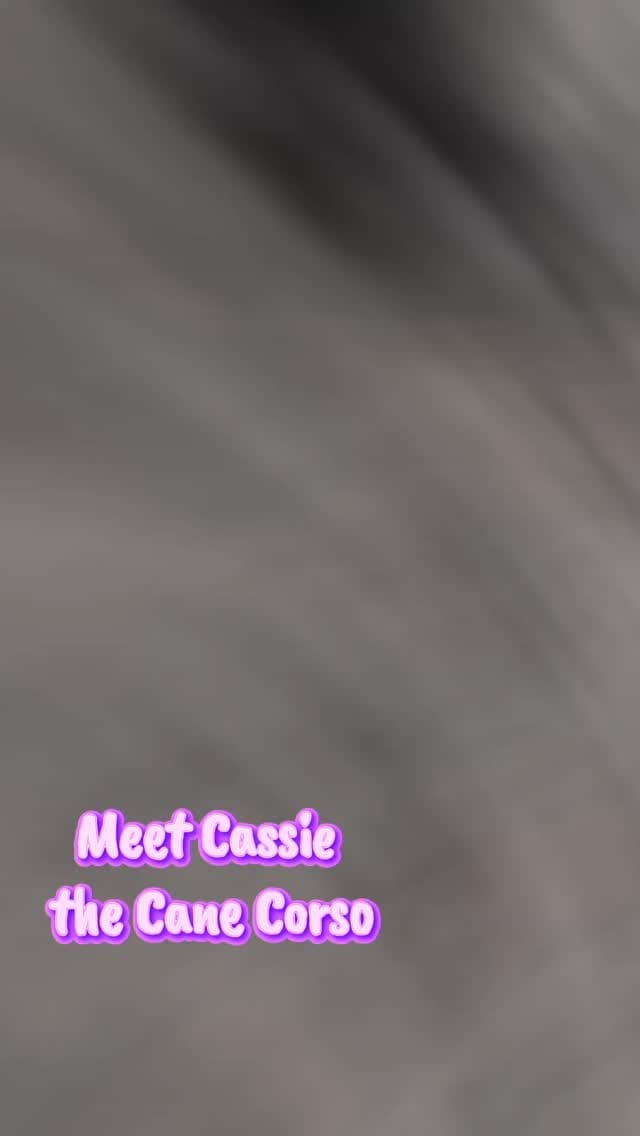 Post 9 by Rescue Me on Instagram (video)