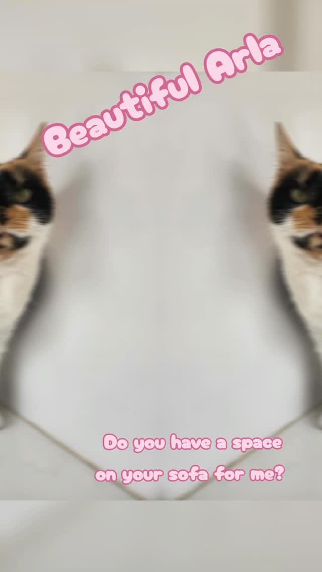 Post 1 by Rescue Me on Instagram (video)