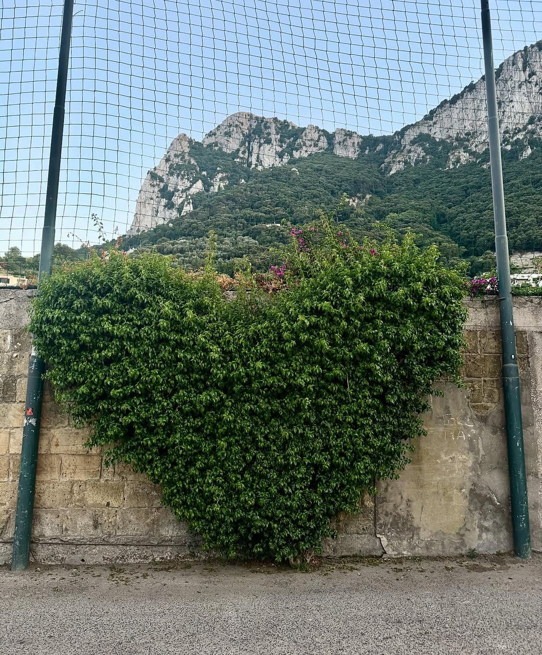 Post 6 by Carlotta ツ on Instagram (image)