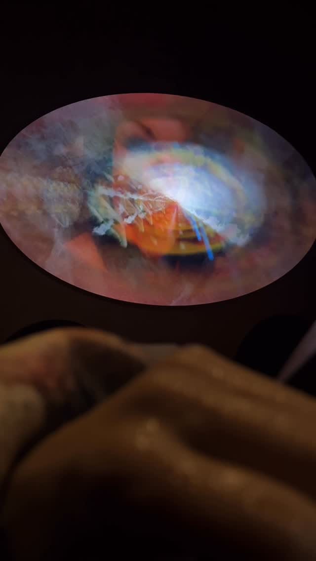 Post 3 by Libby Heaney on Instagram (video)