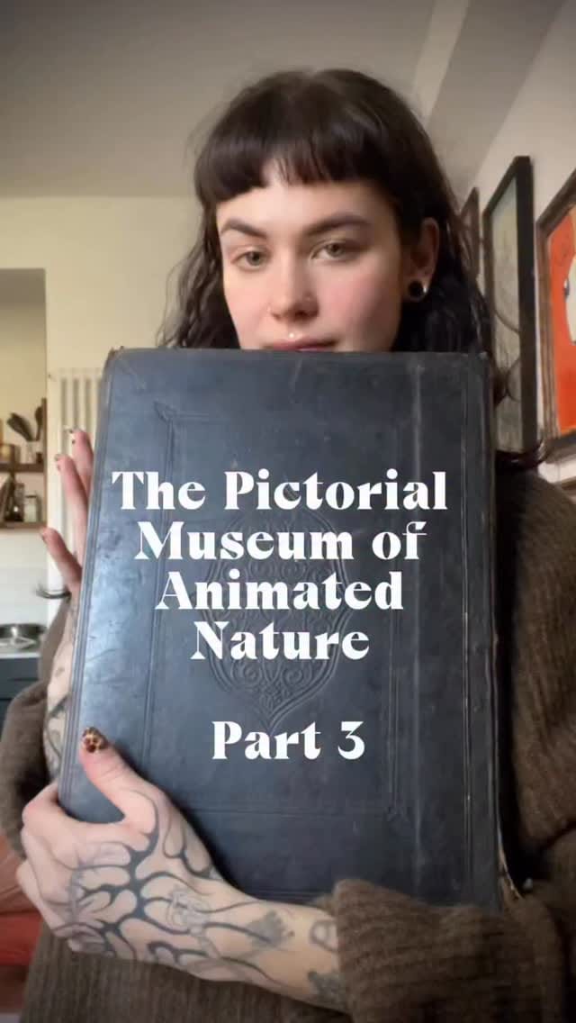 Post 8 by Marcella Jean on Instagram (video)