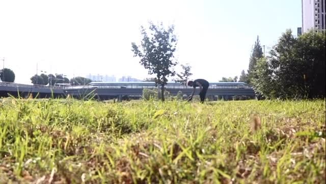 Post 2 by Albano Hernández Domínguez on Instagram (video)