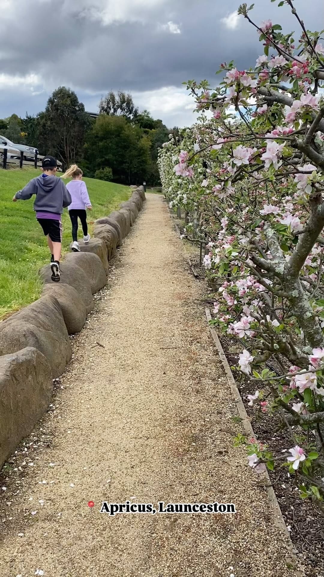 Post 5 by Feeding Little People on Instagram (video)