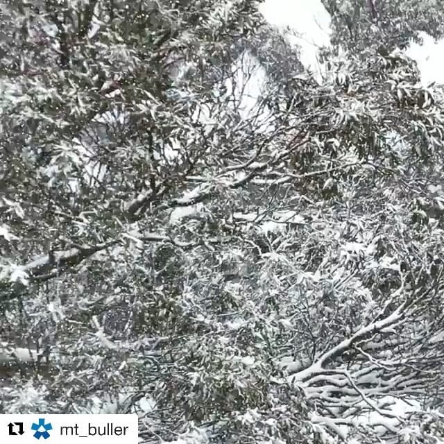 Post 1 by Travel Designer & Operator on Instagram (video)