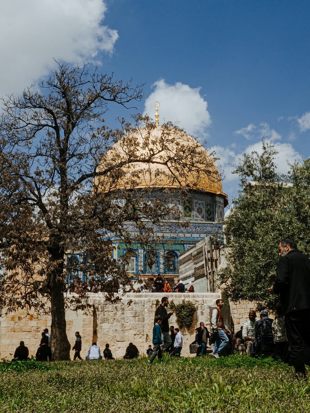 Post 4 by Omri Massarwe on Instagram (carousel)