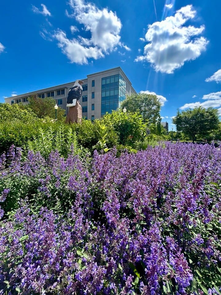 Post 5 by American University Alumni on Instagram (image)