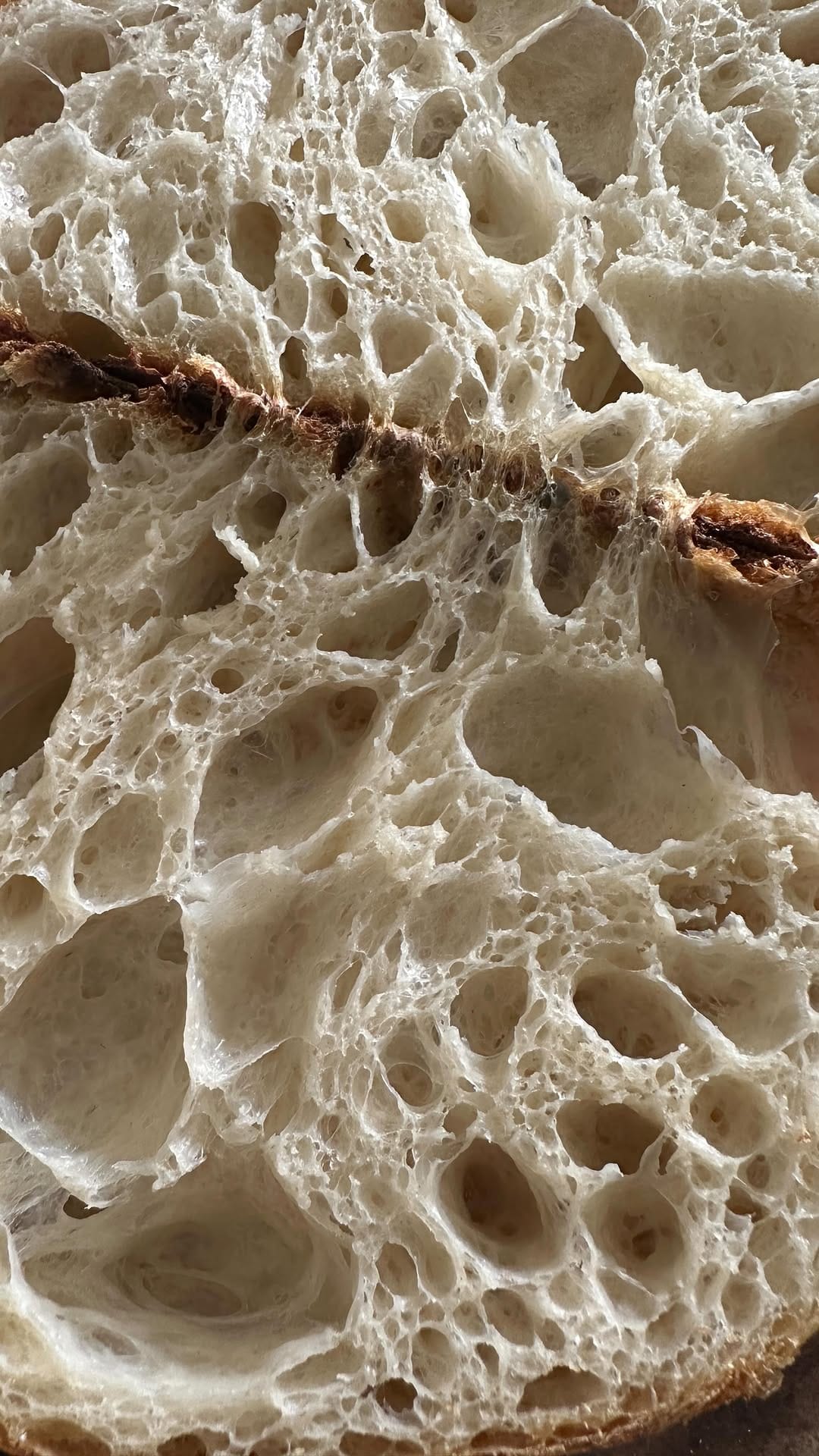 Post 3 by MEL [MS] on Instagram (video)