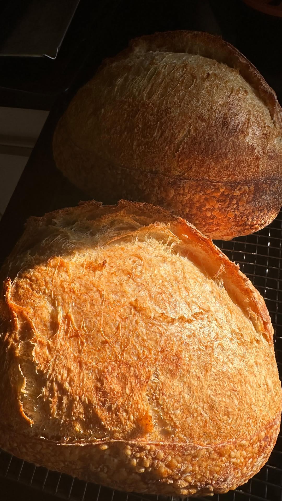 Post 4 by MEL [MS] on Instagram (video)