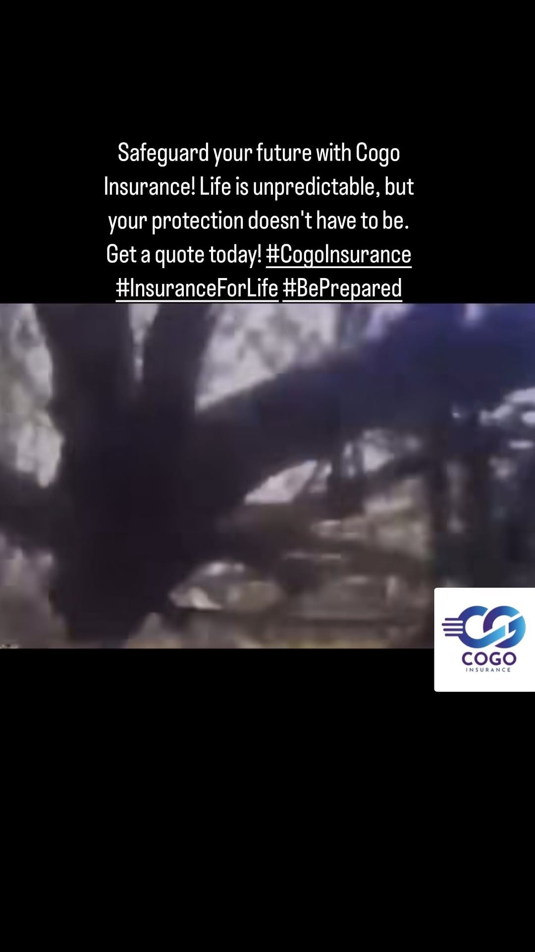Post 8 by Cogo Insurance on Instagram (video)