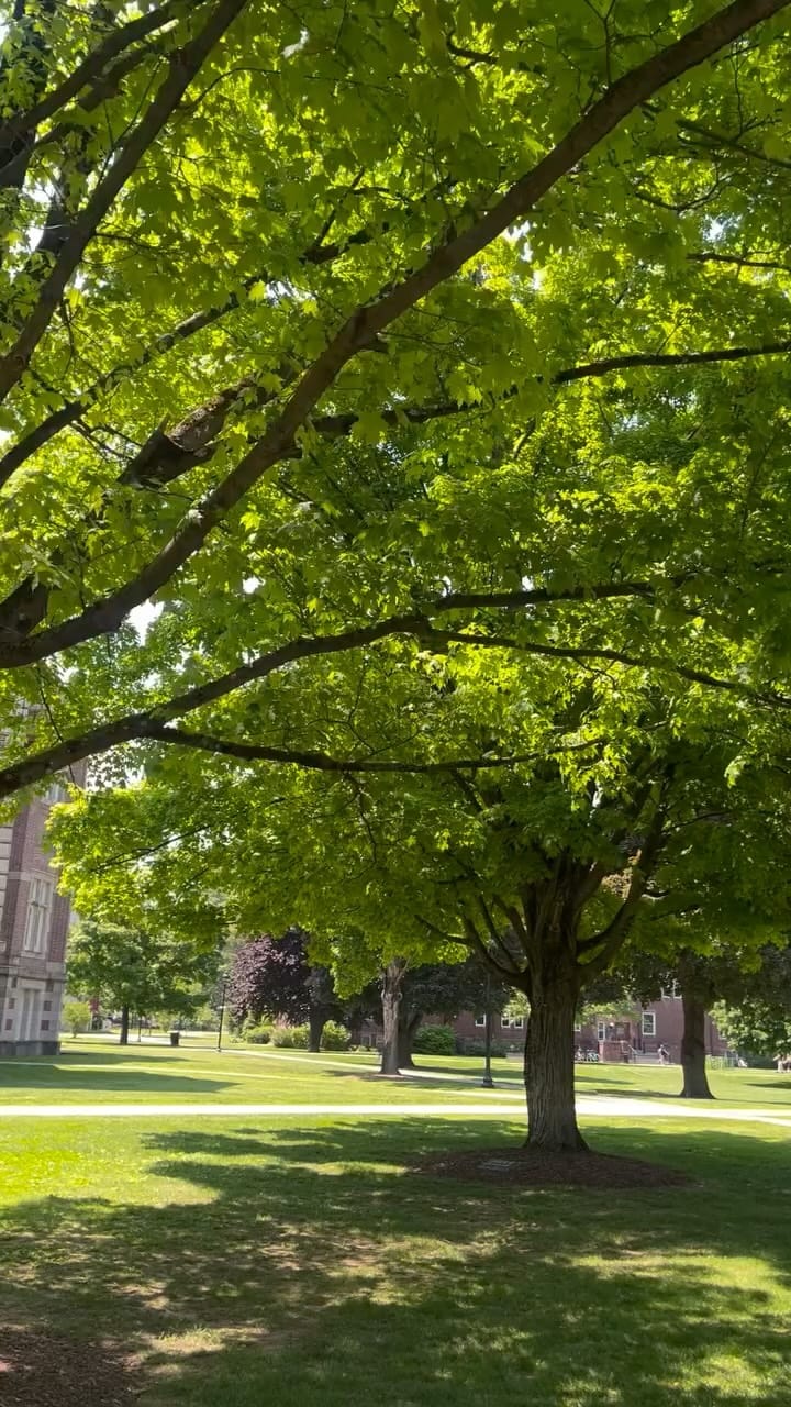 Post 2 by Vassar College Admissions on Instagram (video)