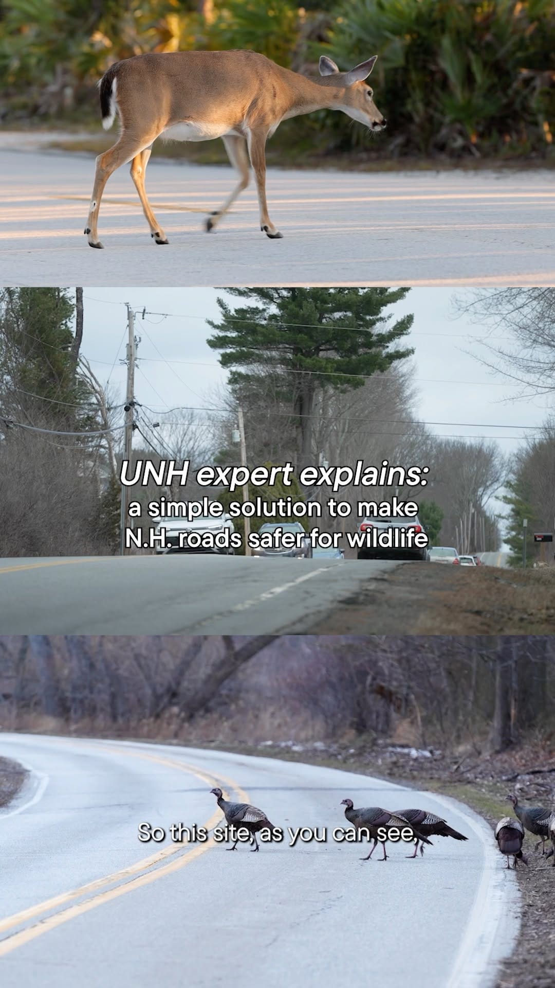 Post 1 by University of New Hampshire ︱ UNH on Instagram (video)