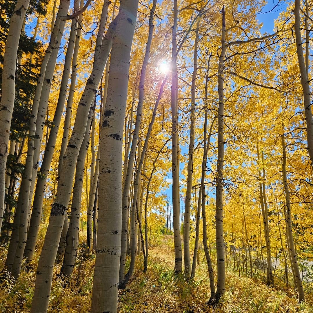 Post 6 by Heather Kegel on Instagram (image)