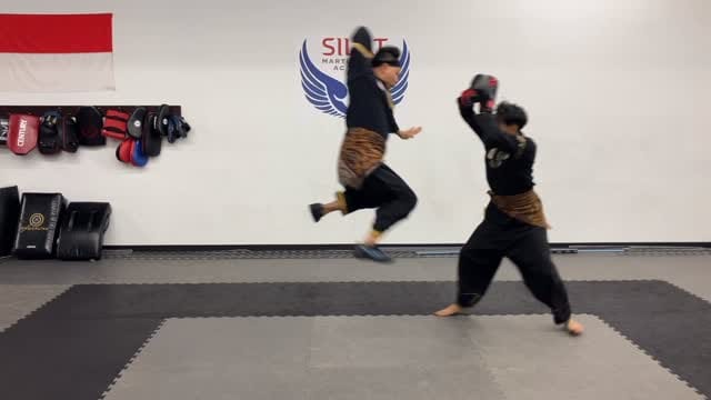 Post 9 by Silat Martial Arts Academy on Instagram (video)