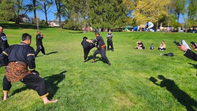 Post 3 by Silat Martial Arts Academy on Instagram (video)