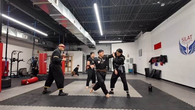 Post 1 by Silat Martial Arts Academy on Instagram (video)