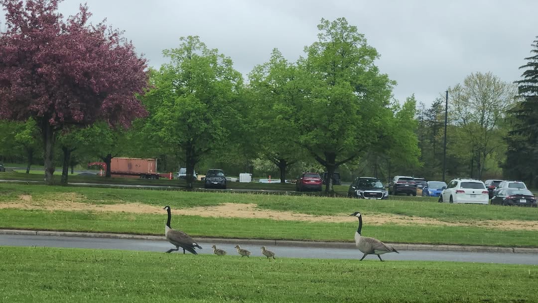 Post 3 by SUNY Polytechnic Institute on Instagram (image)