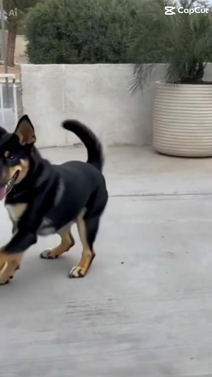 Post 1 by Kylee Dean Designs on Instagram (video)
