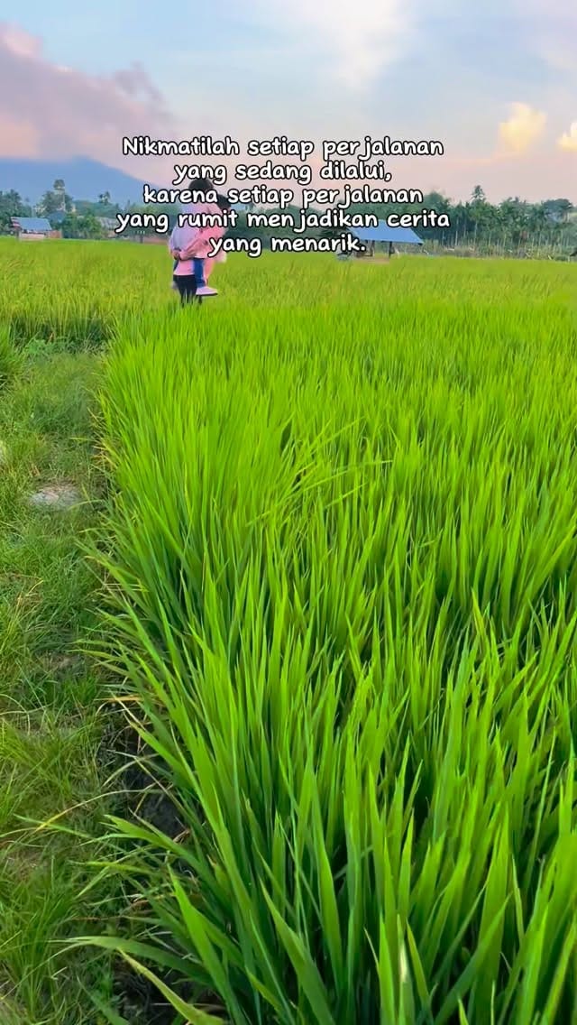 Post 5 by om mus on Instagram (video)