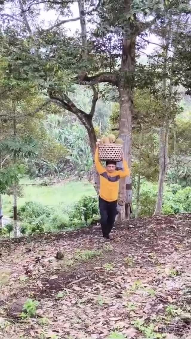 Post 4 by om mus on Instagram (video)