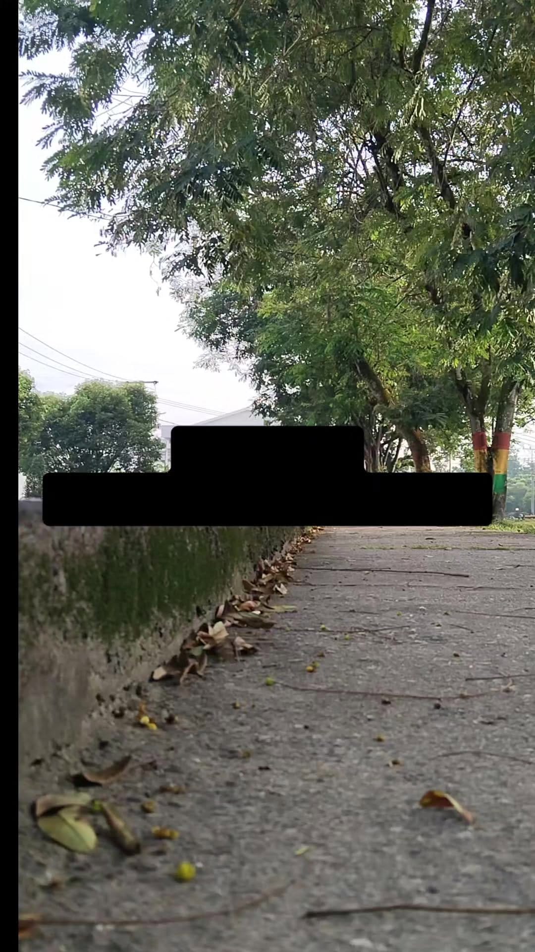 Post 10 by om mus on Instagram (video)