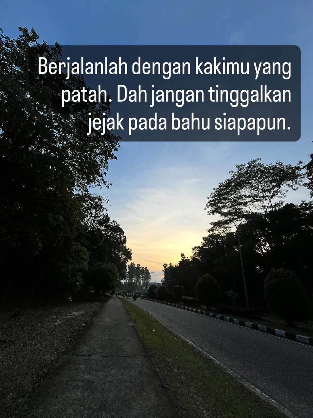 Post 3 by om mus on Instagram (image)
