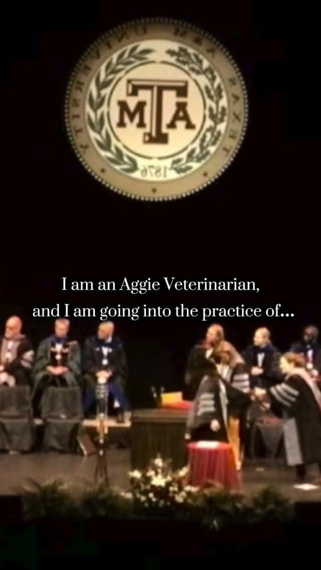Post 6 by Texas A&M Veterinary Medicine on Instagram (video)