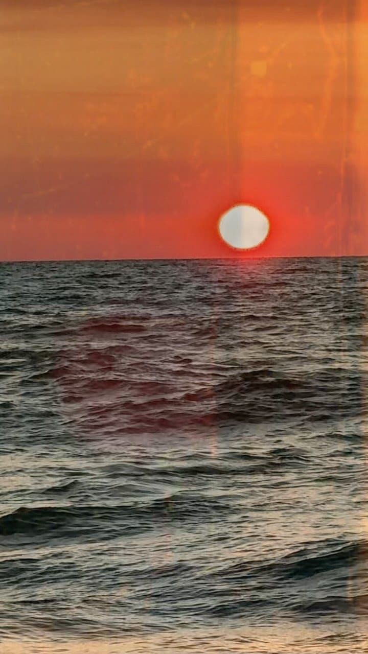 Post 3 by Exploring Shore on Instagram (video)
