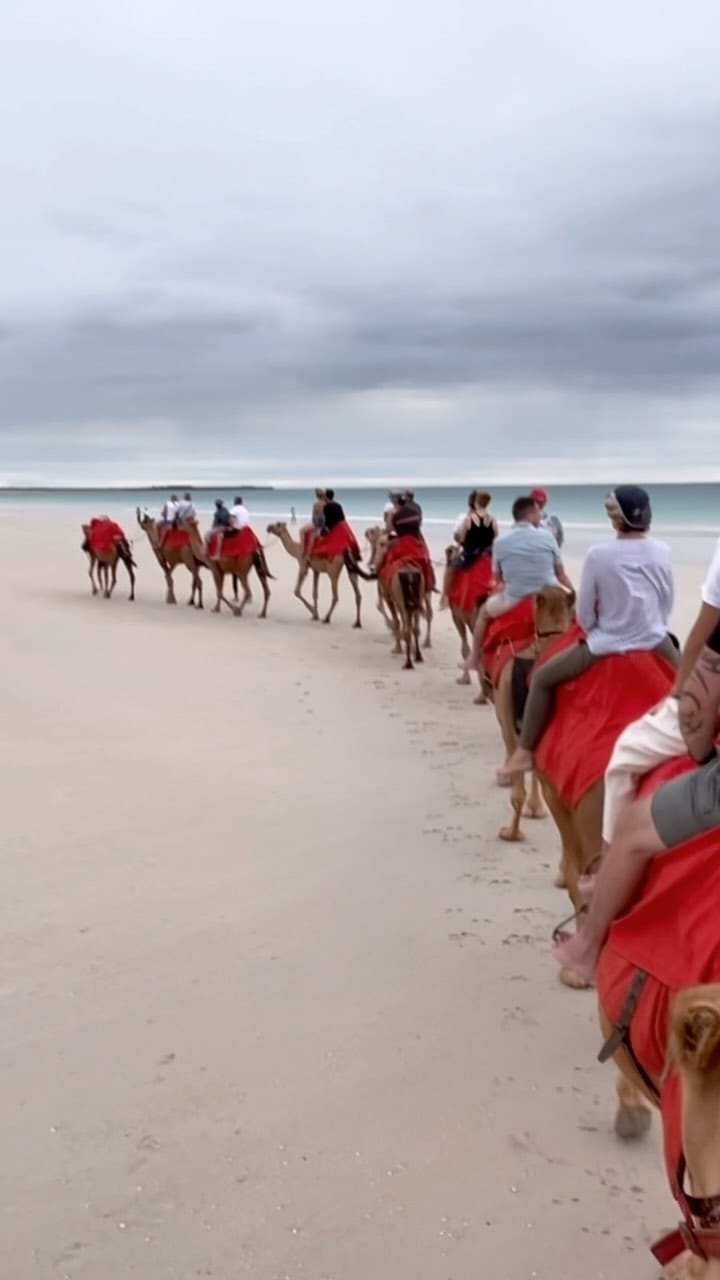 Post 7 by Exploring Shore on Instagram (video)