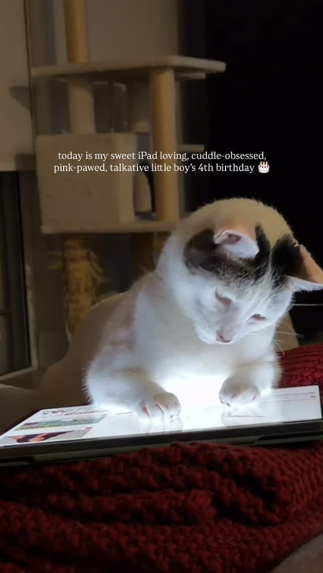 Post 9 by Jackie Rodriguez on Instagram (video)