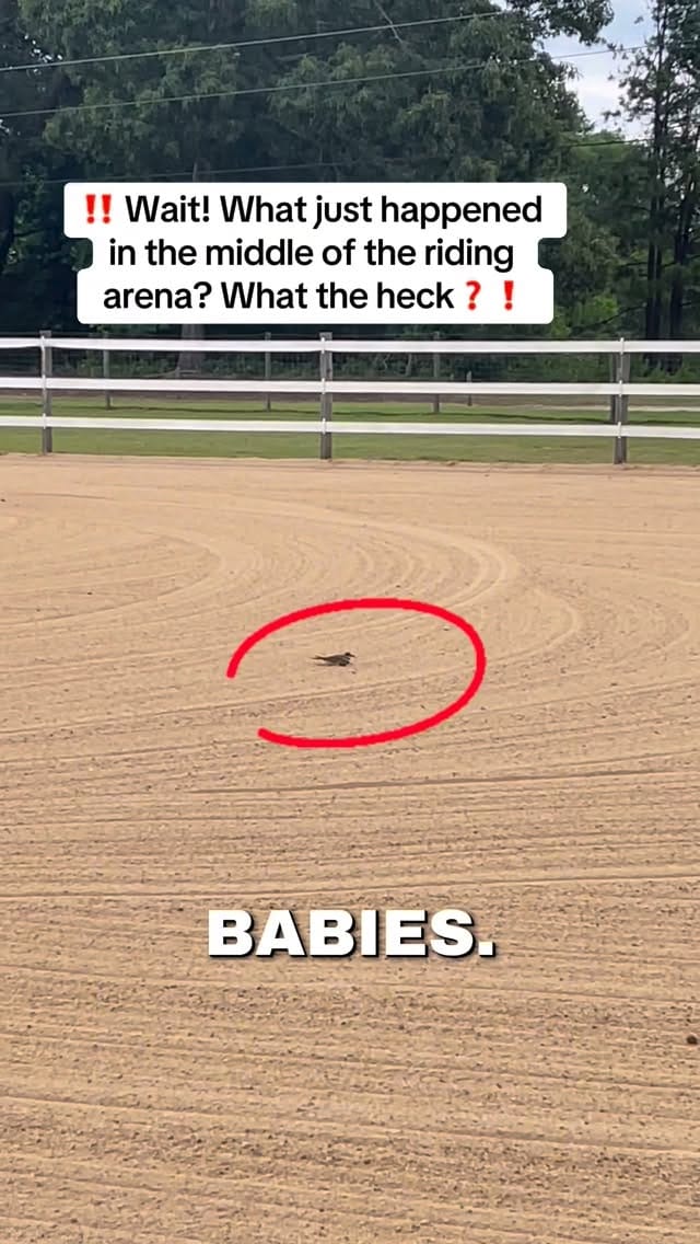 Post 7 by Monique Smith on Instagram (video)