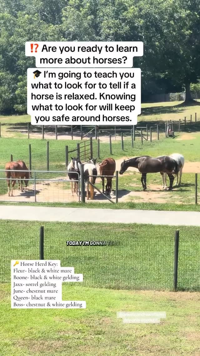 Post 4 by Monique Smith on Instagram (video)