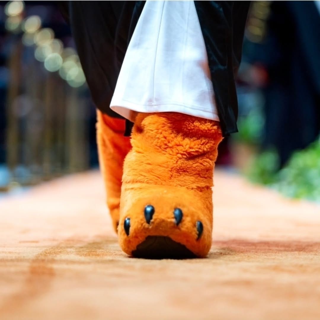 Post 1 by Sammy the Bearkat on Instagram (carousel)
