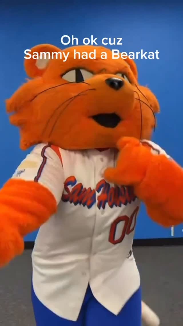 Post 10 by Sammy the Bearkat on Instagram (video)