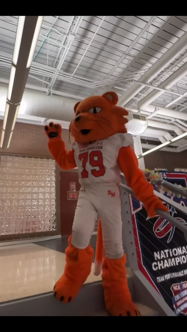 Post 2 by Sammy the Bearkat on Instagram (video)