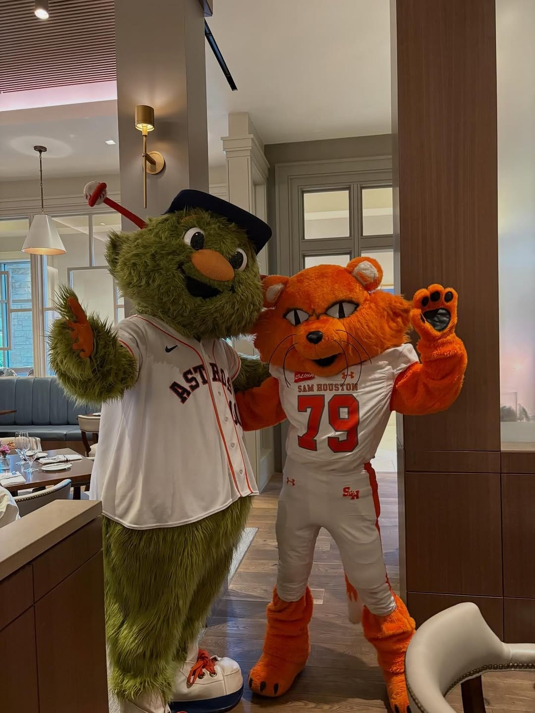 Post 7 by Sammy the Bearkat on Instagram (image)