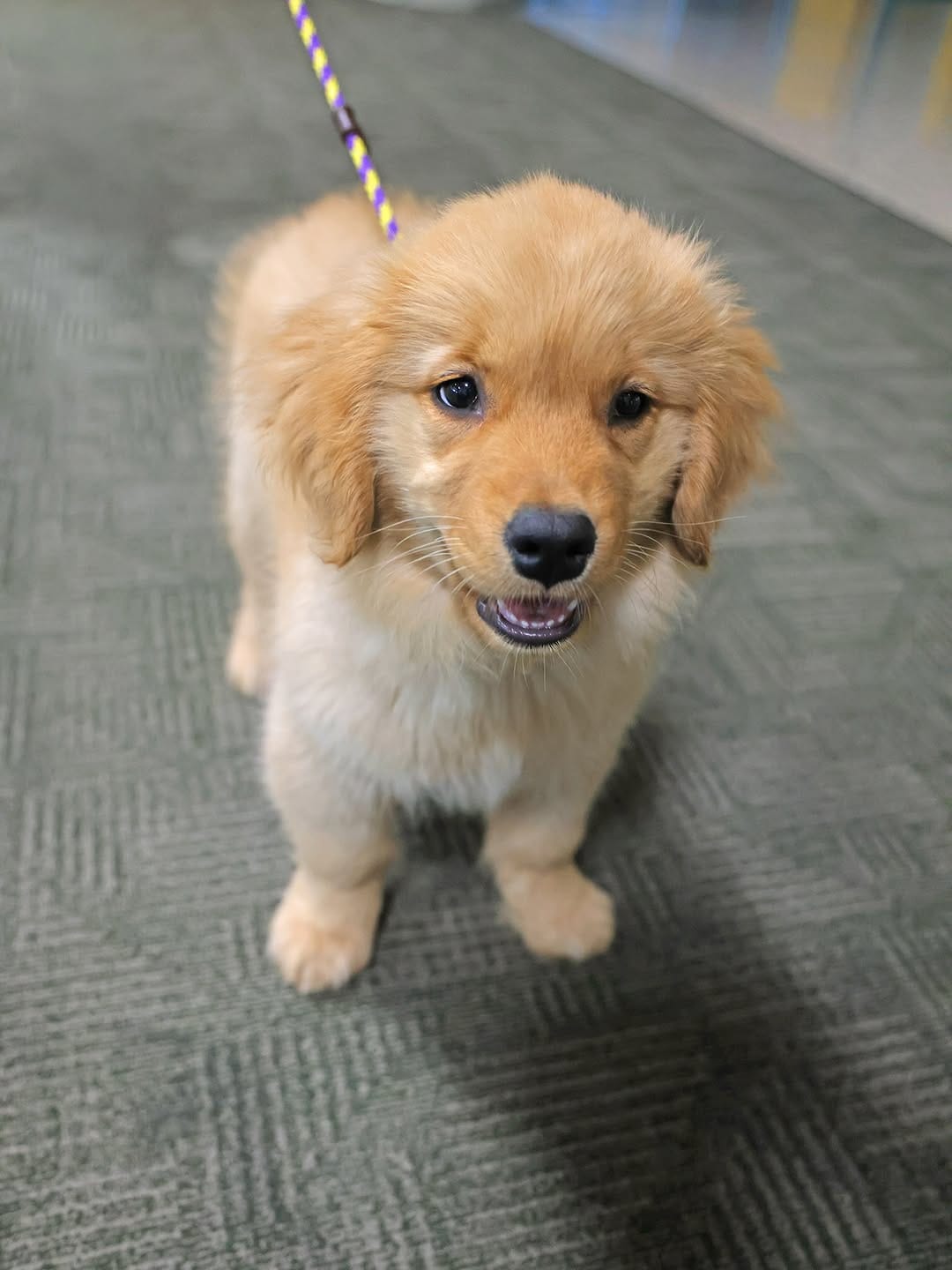 Post 9 by CCRI — Community College of Rhode Island on Instagram (carousel)