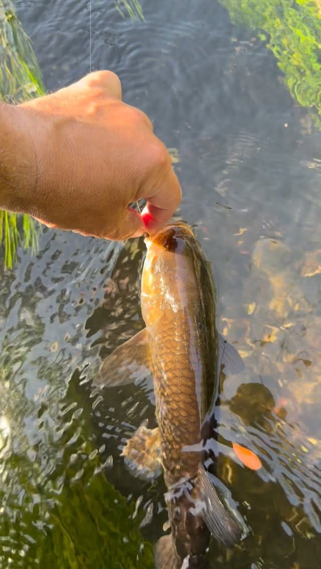 Post 1 by Igor Slavík on Instagram (video)